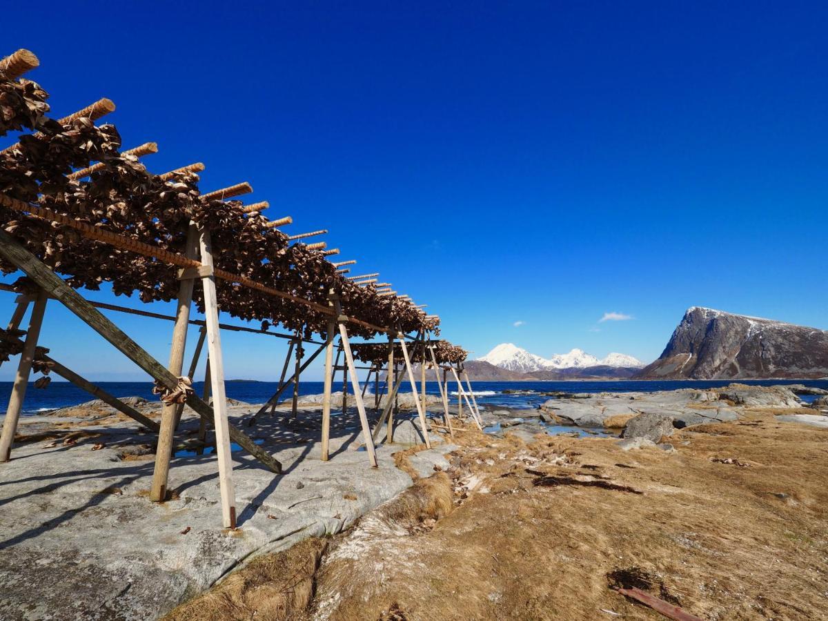 Vestfjorden Panorama Lofoten Villa Valberg Bagian luar foto