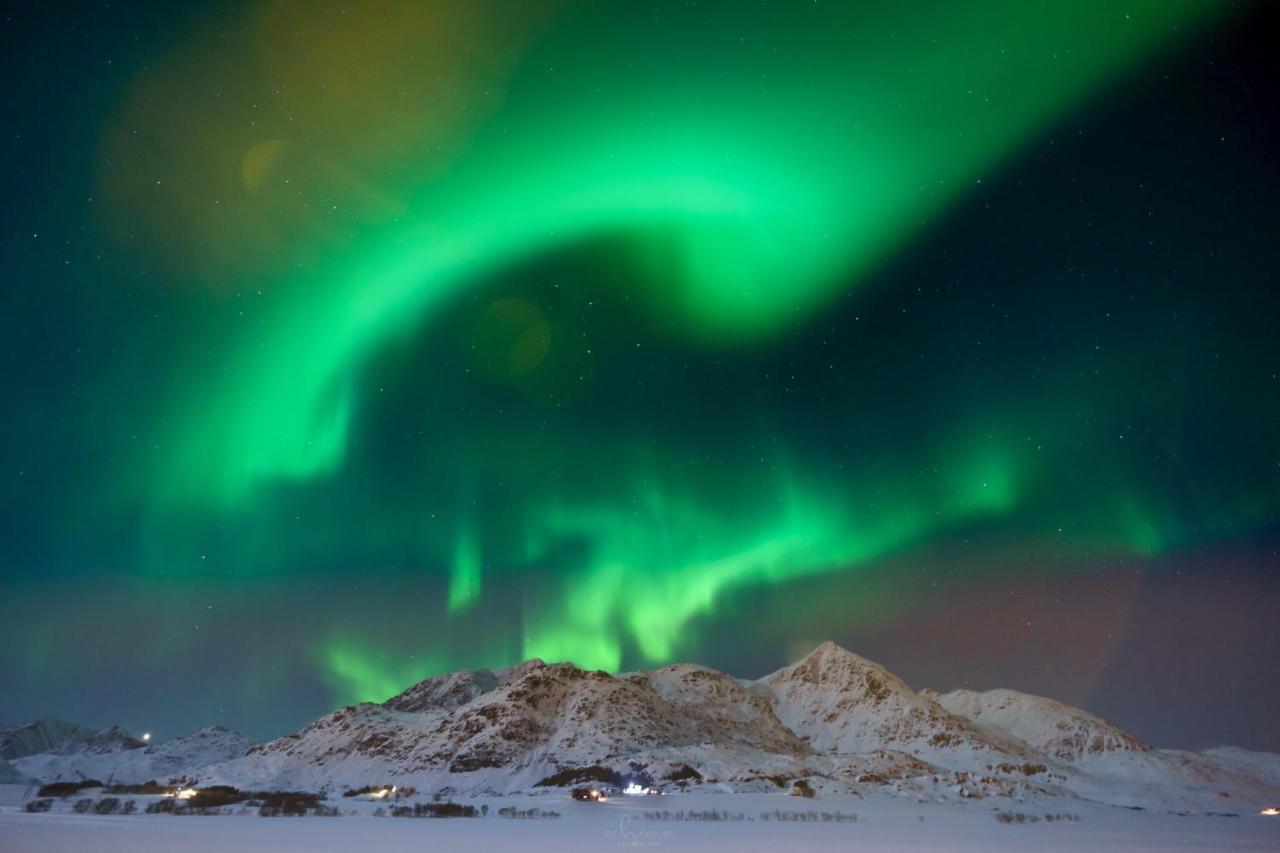 Vestfjorden Panorama Lofoten Villa Valberg Bagian luar foto